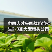 中国人才兴国战略将催生2-3家大型猎头公司-图4 中国人才兴国战略将催生2-3家大型猎头公司-图4