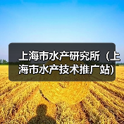 上海市水产研究所(上海市水产技术推广站) 2024年公开招聘博士研究生公告-图5 上海市水产研究所(上海市水产技术推广站) 2024年公开招聘博士研究生公告-图5