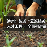 泸州:纳溪“云溪精英人才工程” 全面引进高级人才-图5 泸州:纳溪“云溪精英人才工程” 全面引进高级人才-图5