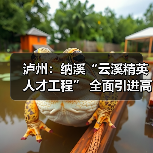 泸州:纳溪“云溪精英人才工程” 全面引进高级人才-图4 泸州:纳溪“云溪精英人才工程” 全面引进高级人才-图4