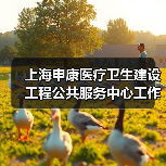 上海申康医疗卫生建设工程公共服务中心工作人员公开招聘公告-图6 上海申康医疗卫生建设工程公共服务中心工作人员公开招聘公告-图6