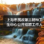上海市民政第三精神卫生中心公开招聘工作人员公告-图4 上海市民政第三精神卫生中心公开招聘工作人员公告-图4
