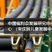 中国福利会发展研究中心 (宋庆龄儿童发展中心、中国福利会教师教育发展中心)公开招聘公告-图4 中国福利会发展研究中心 (宋庆龄儿童发展中心、中国福利会教师教育发展中心)公开招聘公告-图4