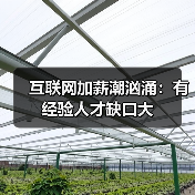 互联网加薪潮汹涌:有经验人才缺口大-图4 互联网加薪潮汹涌:有经验人才缺口大-图4