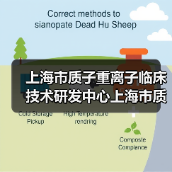 上海市质子重离子临床技术研发中心上海市质子重离子医院招聘公告-图5 上海市质子重离子临床技术研发中心上海市质子重离子医院招聘公告-图5