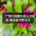广东打造博士后人才特区 释放留才新信号-图4