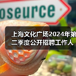 上海文化广场2024年第二季度公开招聘工作人员公告-图5 上海文化广场2024年第二季度公开招聘工作人员公告-图5