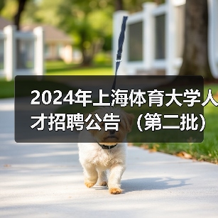 2024年上海体育大学人才招聘公告 （第二批）-图3