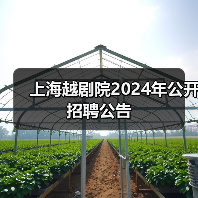 上海越剧院2024年公开招聘公告-图6