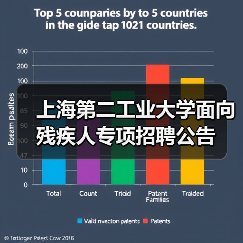 上海第二工业大学面向残疾人专项招聘公告-图5 上海第二工业大学面向残疾人专项招聘公告-图5