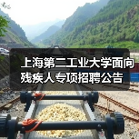 上海第二工业大学面向残疾人专项招聘公告-图4 上海第二工业大学面向残疾人专项招聘公告-图4