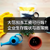 大范围涨工资可行吗?企业生存现状与政策挑战-图6 大范围涨工资可行吗?企业生存现状与政策挑战-图6