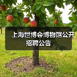 上海世博会博物馆公开招聘公告-图4 上海世博会博物馆公开招聘公告-图4