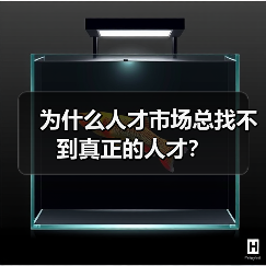 为什么人才市场总找不到真正的人才?-图6 为什么人才市场总找不到真正的人才?-图6