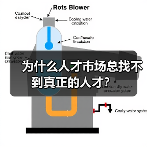 为什么人才市场总找不到真正的人才?-图4 为什么人才市场总找不到真正的人才?-图4