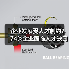 企业发展受人才制约?74%企业面临人才缺口难题-图3 企业发展受人才制约?74%企业面临人才缺口难题-图3