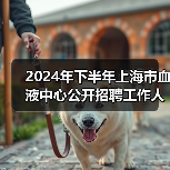 2024年下半年上海市血液中心公开招聘工作人员公告-图5