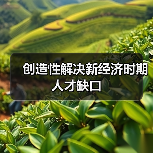 创造性解决新经济时期人才缺口-图6