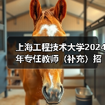 上海工程技术大学2024年专任教师（补充）招聘公告-图5