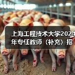 上海工程技术大学2024年专任教师（补充）招聘公告-图6