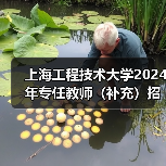 上海工程技术大学2024年专任教师（补充）招聘公告-图4