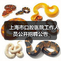 上海市口腔医院工作人员公开招聘公告-图4