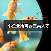 小企业所需要三类人才-图5