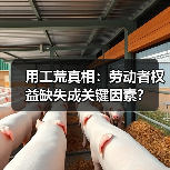 用工荒真相：劳动者权益缺失成关键因素？-图6