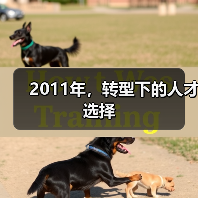 2011年，转型下的人才选择-图6