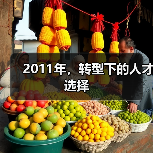 2011年，转型下的人才选择-图3