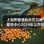 上海市临港新片区党建服务中心2024年公开招聘工作人员公告-图5