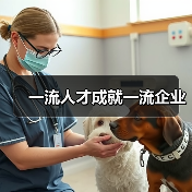 一流人才成就一流企业-图4