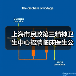 上海市民政第三精神卫生中心招聘临床医生公告-图5
