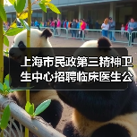 上海市民政第三精神卫生中心招聘临床医生公告-图4