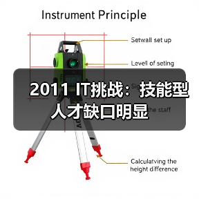 2011 IT挑战：技能型人才缺口明显-图3
