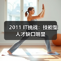 2011 IT挑战：技能型人才缺口明显-图5