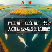 用工荒“年年荒” 劳动力短缺或将成为长期趋势-图4