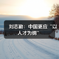 刘志勤:中国更应“以人才为纲”-图4 刘志勤:中国更应“以人才为纲”-图4