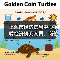 上海市经济信息中心招聘经济研究人员,岗位职责与应聘条件一览-图4 上海市经济信息中心招聘经济研究人员,岗位职责与应聘条件一览-图4