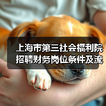 上海市第三社会福利院招聘财务岗位条件及流程详解-图3 上海市第三社会福利院招聘财务岗位条件及流程详解-图3
