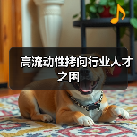 高流动性拷问行业人才之困-图3