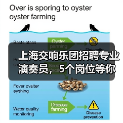 上海交响乐团招聘专业演奏员,5个岗位等你挑战!-图3 上海交响乐团招聘专业演奏员,5个岗位等你挑战!-图3