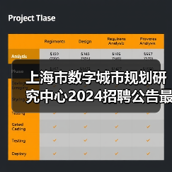 上海市数字城市规划研究中心2024招聘公告最新岗位信息-图3