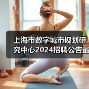 上海市数字城市规划研究中心2024招聘公告最新岗位信息-图4