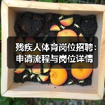 残疾人体育岗位招聘:申请流程与岗位详情-图3 残疾人体育岗位招聘:申请流程与岗位详情-图3