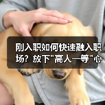 刚入职如何快速融入职场?放下”高人一等”心态-图5 刚入职如何快速融入职场?放下”高人一等”心态-图5