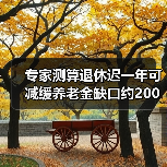 专家测算退休迟一年可减缓养老金缺口约200亿-图4 专家测算退休迟一年可减缓养老金缺口约200亿-图4