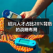 绍兴人才占比28%背后的战略布局-图4 绍兴人才占比28%背后的战略布局-图4