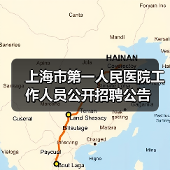 上海市第一人民医院工作人员公开招聘公告-图5 上海市第一人民医院工作人员公开招聘公告-图5