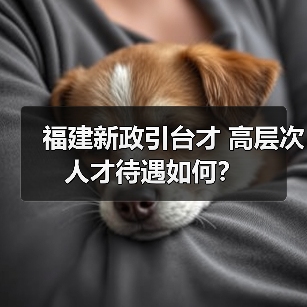 福建新政引台才 高层次人才待遇如何?-图4 福建新政引台才 高层次人才待遇如何?-图4